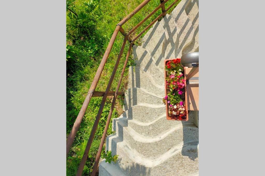 Villa Con Piscina 10 Posti Letto, L'Oliveta Di Rivalto Chianni Extérieur photo