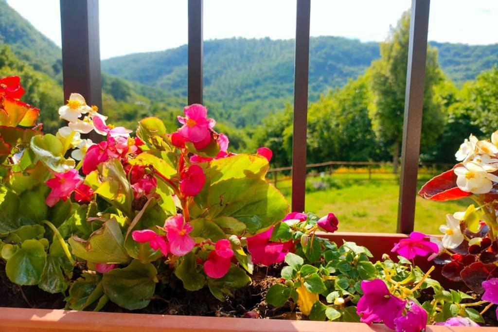 Villa Con Piscina 10 Posti Letto, L'Oliveta Di Rivalto Chianni Extérieur photo