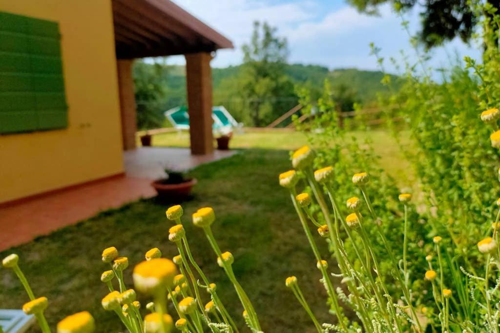 Villa Con Piscina 10 Posti Letto, L'Oliveta Di Rivalto Chianni Extérieur photo