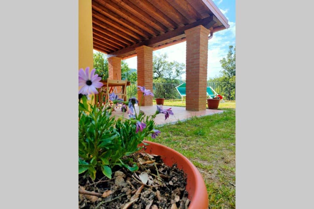 Villa Con Piscina 10 Posti Letto, L'Oliveta Di Rivalto Chianni Extérieur photo